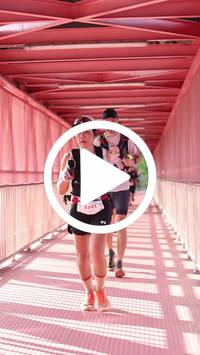 BIB:  <button type="button" onclick="openModal(27331705)" class="btn btn-primary btn-sm float-right" data-toggle="modal" data-target=".modal-high-quality">
                <i class="fa fa-download"></i> Download
                </button>